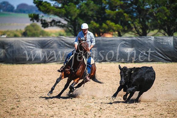 GoulburnCampdraft2017_2992