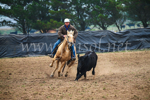 GoulburnCampdraft2017_0285