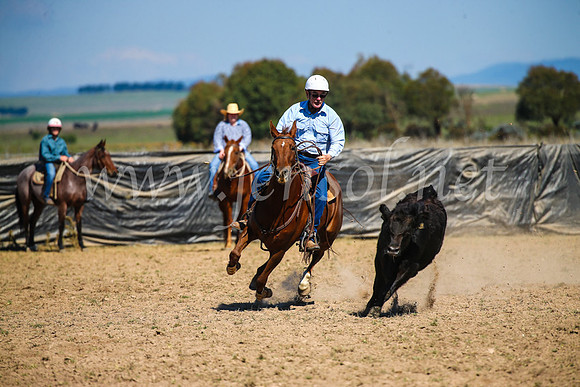 GoulburnCampdraft2017_3080