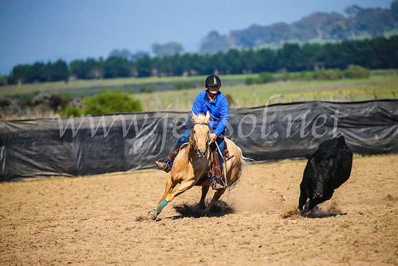 GoulburnCampdraft2017_2624