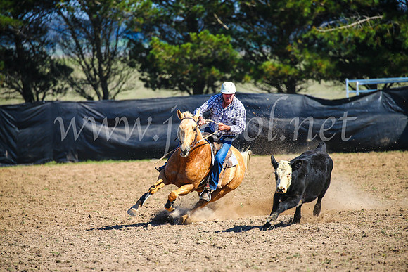 GoulburnCampdraft2017_2725