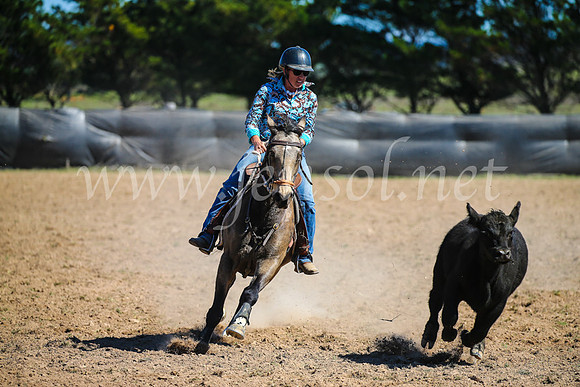 GoulburnCampdraft2017_3211