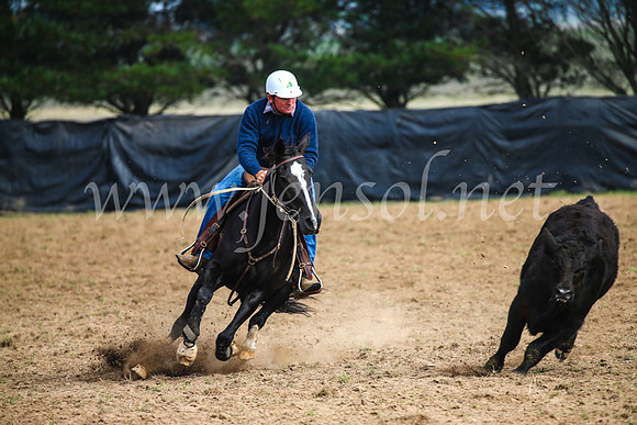 GoulburnCampdraft2017_0343