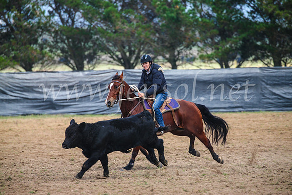 GoulburnCampdraft2017_0287