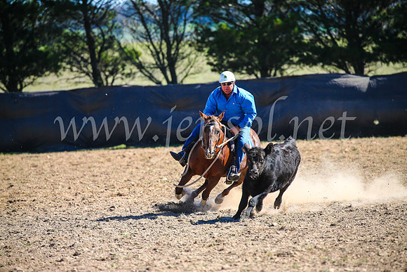 GoulburnCampdraft2017_3481