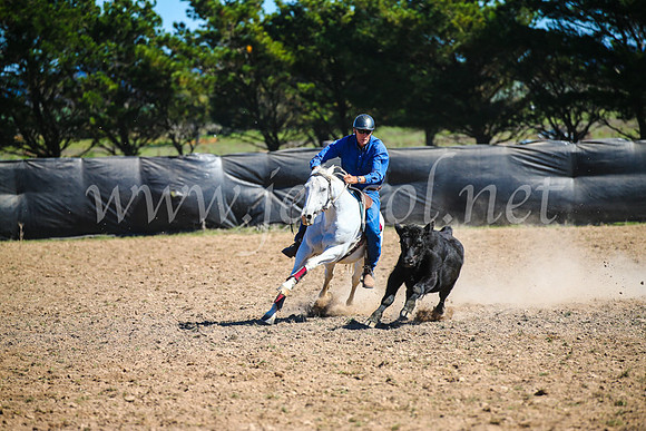 GoulburnCampdraft2017_3436