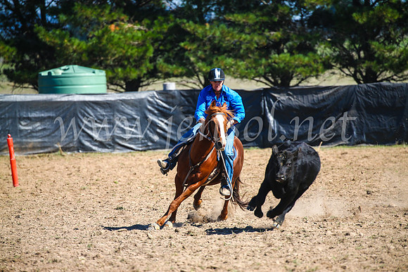 GoulburnCampdraft2017_2885