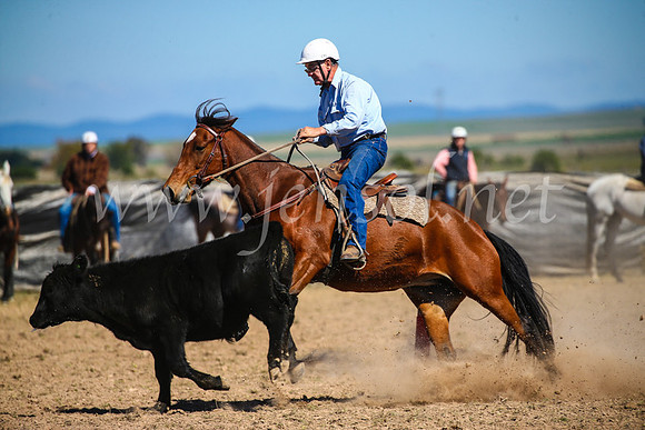 GoulburnCampdraft2017_3283