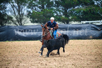 GoulburnCampdraft2017_0176
