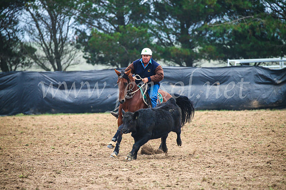GoulburnCampdraft2017_0176