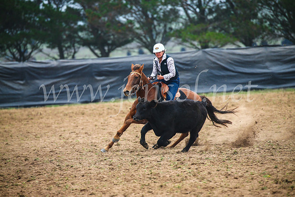 GoulburnCampdraft2017_0201