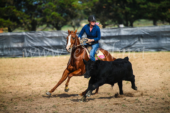 GoulburnCampdraft2017_2484