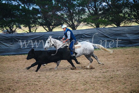 GoulburnCampdraft2017_0328