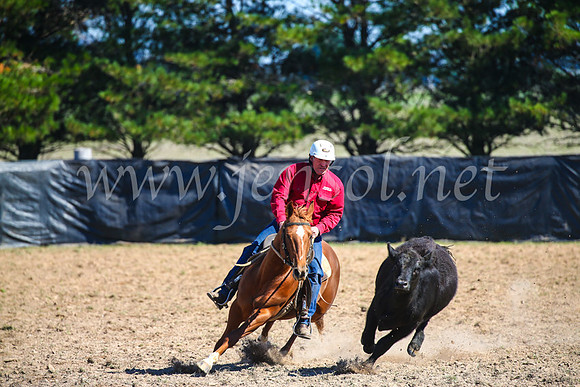 GoulburnCampdraft2017_2942