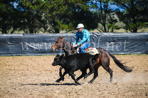 GoulburnCampdraft2017_2921