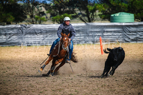 GoulburnCampdraft2017_2464