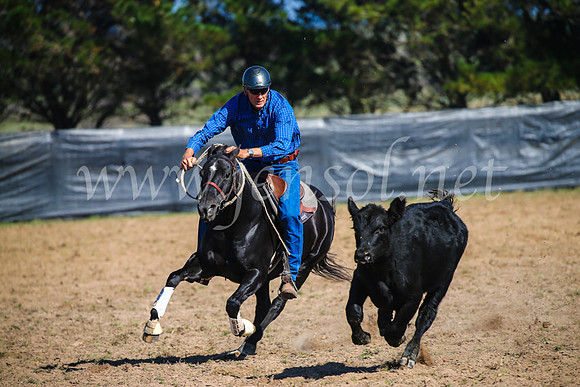 GoulburnCampdraft2017_2637