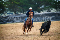 GoulburnCampdraft2017_0212