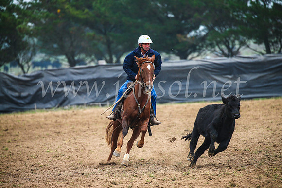 GoulburnCampdraft2017_0212