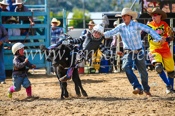 TumutRodeo2017_1140