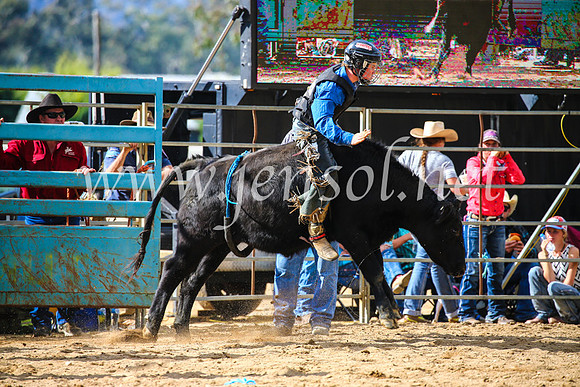 TumutRodeo2017_1223