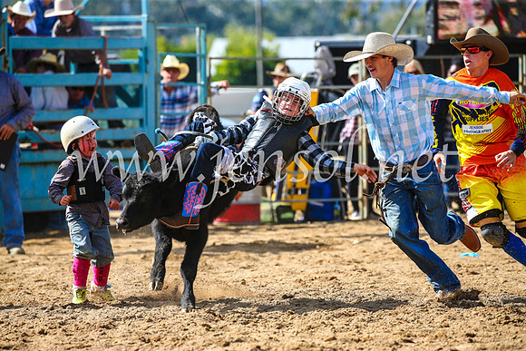 TumutRodeo2017_1143