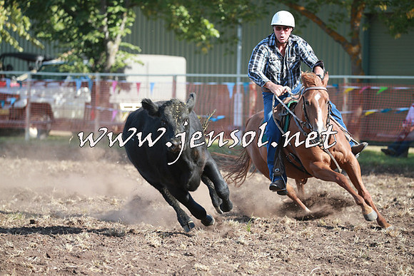 NimmitabelCampdraft2016_0517