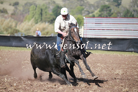 NimmitabelCampdraft2016_0534