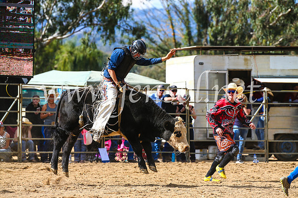TumutRodeo2017_1254