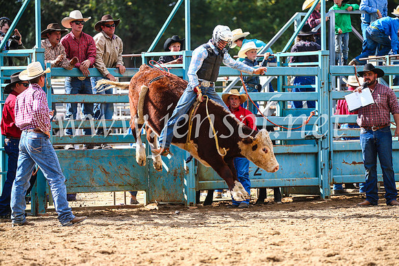 TumutRodeo2017_1204