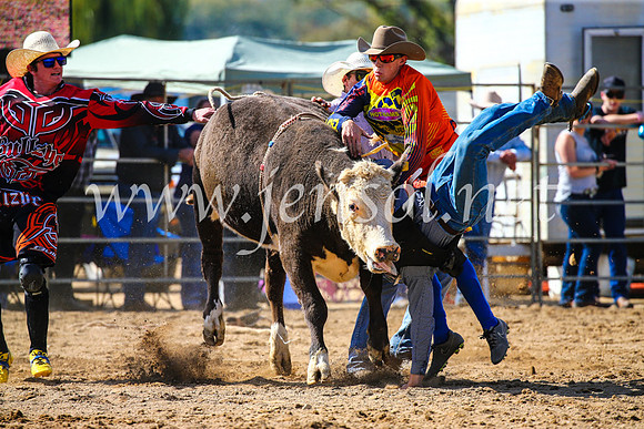 TumutRodeo2017_1016