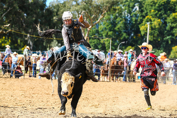 TumutRodeo2017_1248
