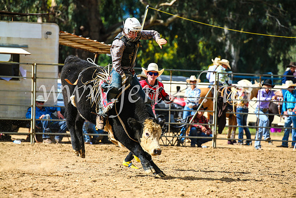 TumutRodeo2017_1239