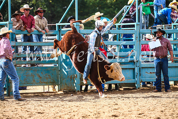 TumutRodeo2017_1203