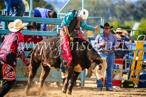 TumutRodeo2017_1172