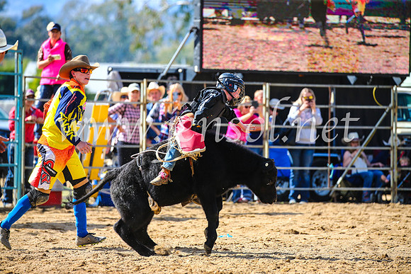 TumutRodeo2017_1129