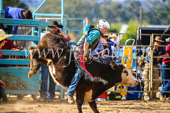 TumutRodeo2017_1175