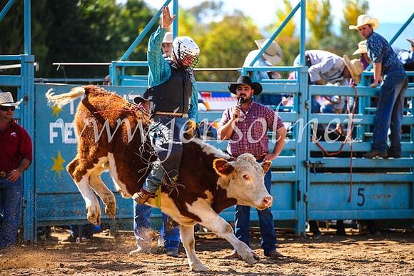 TumutRodeo2017_0963