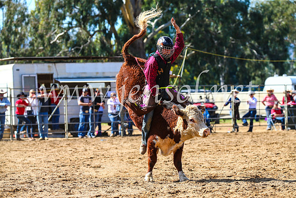 TumutRodeo2017_0945