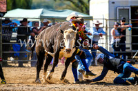 TumutRodeo2017_1026
