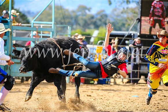 TumutRodeo2017_1193