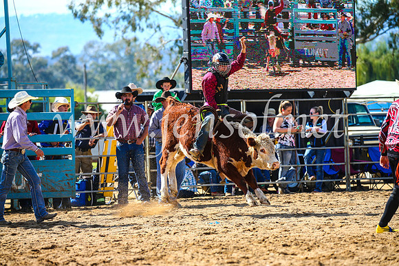 TumutRodeo2017_0940