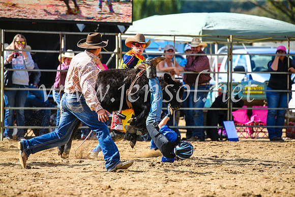 TumutRodeo2017_1167