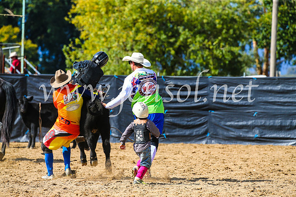TumutRodeo2017_1133