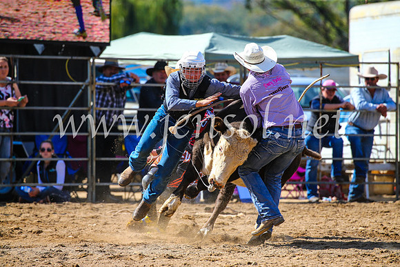 TumutRodeo2017_1020
