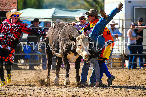 TumutRodeo2017_1019
