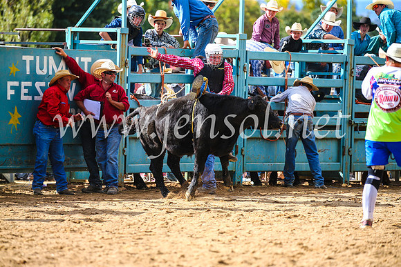 TumutRodeo2017_1233