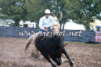 NimmitabelCampdraft2016_0419