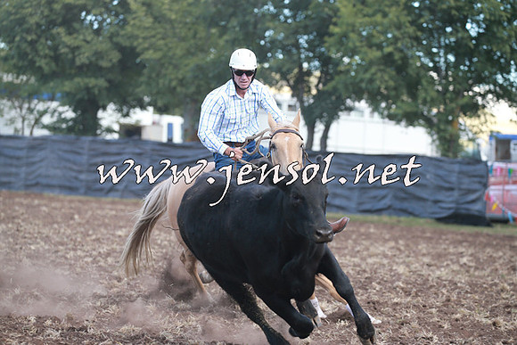 NimmitabelCampdraft2016_0419