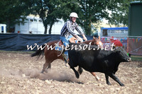 NimmitabelCampdraft2016_0449